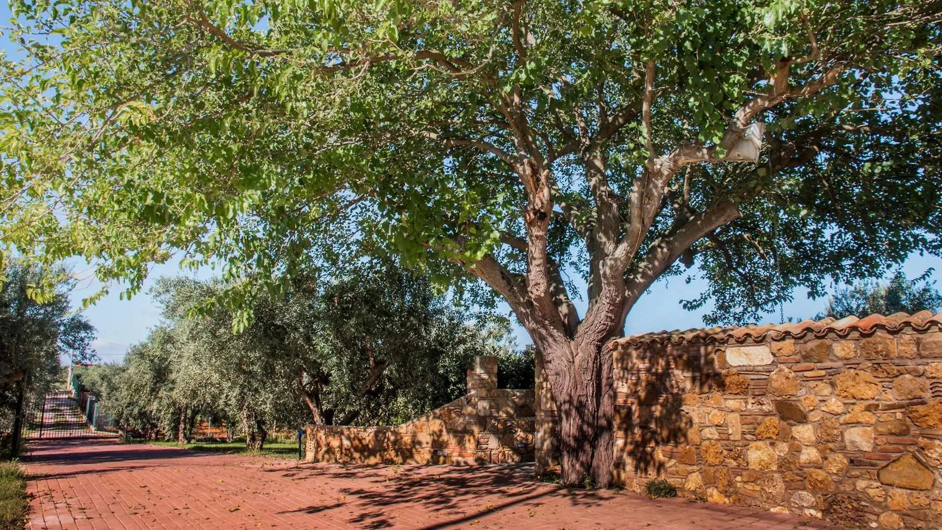 Villa con piscina Casale di Giò nel Golfo di Castellammare Partinico